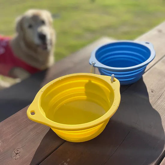 Collapsible Microwavable Silicone Water Bowl